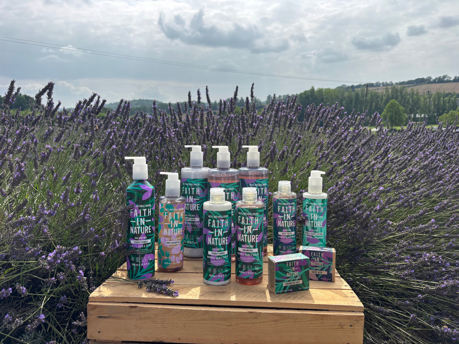 Faith in nature and Castle Farm lavender