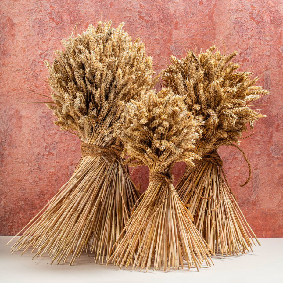 Dramatic dried flowers