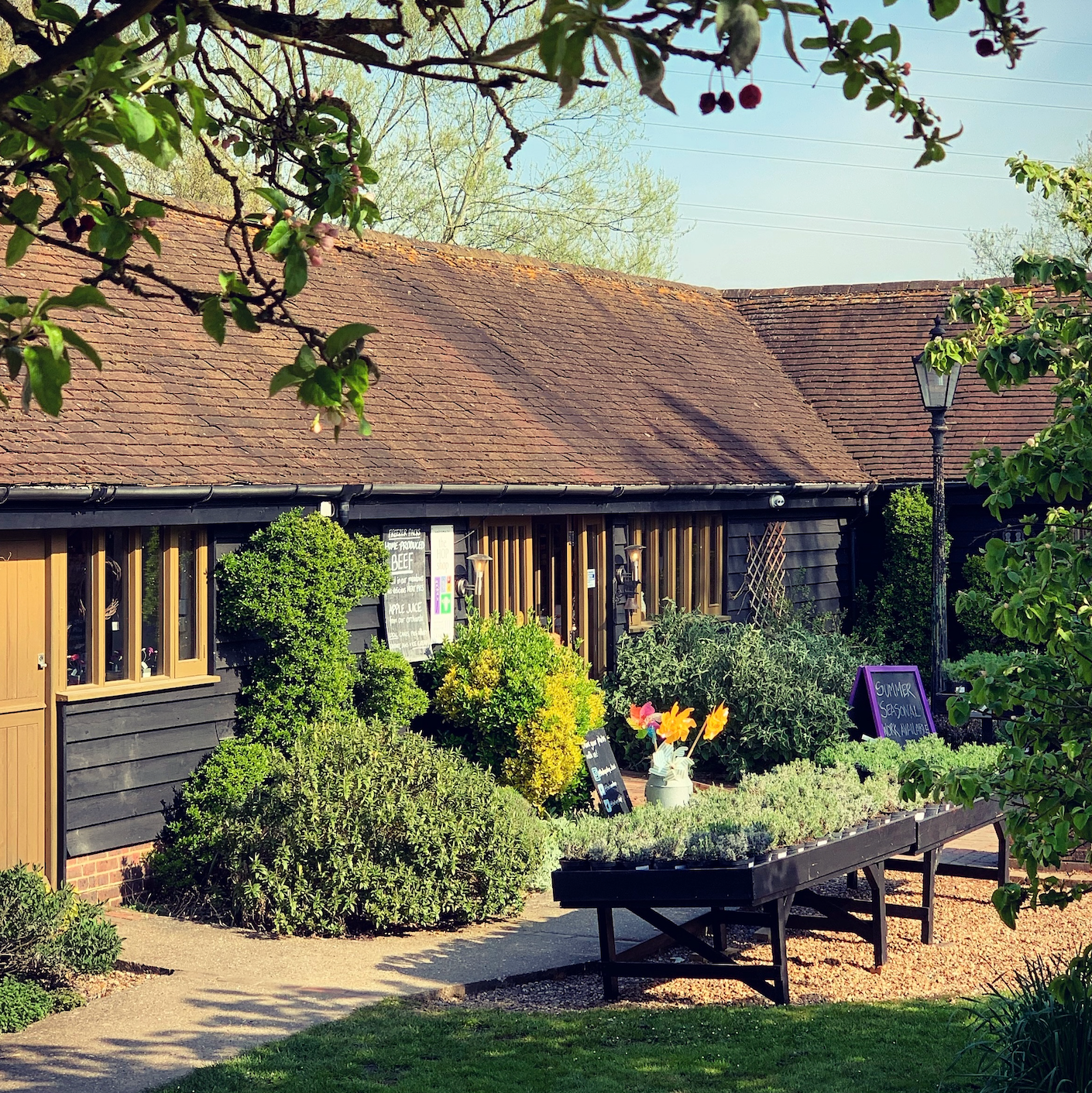 This Spring at Castle Farm