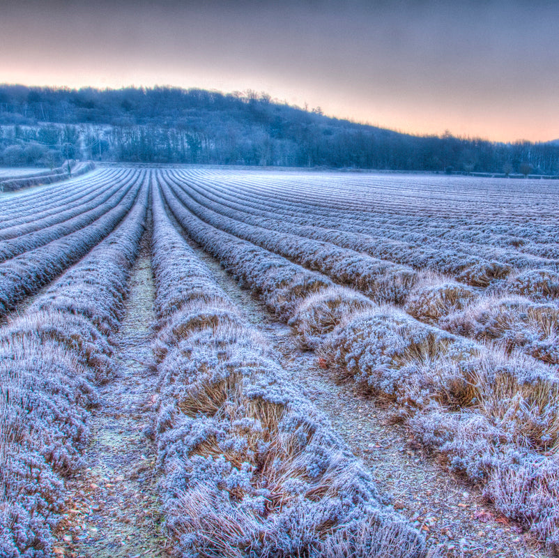 Farm Shop temporarily closed