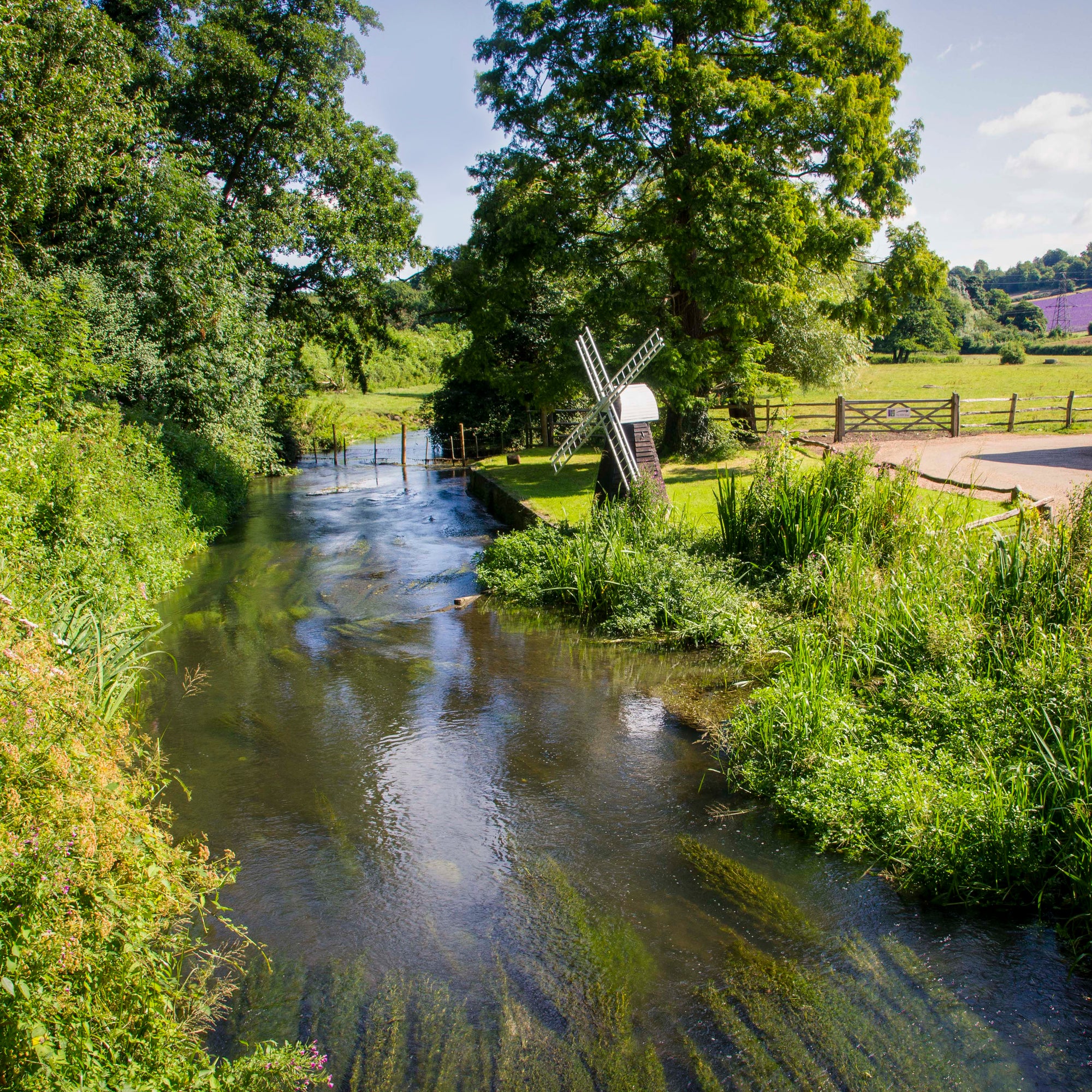 Protecting our River Darent