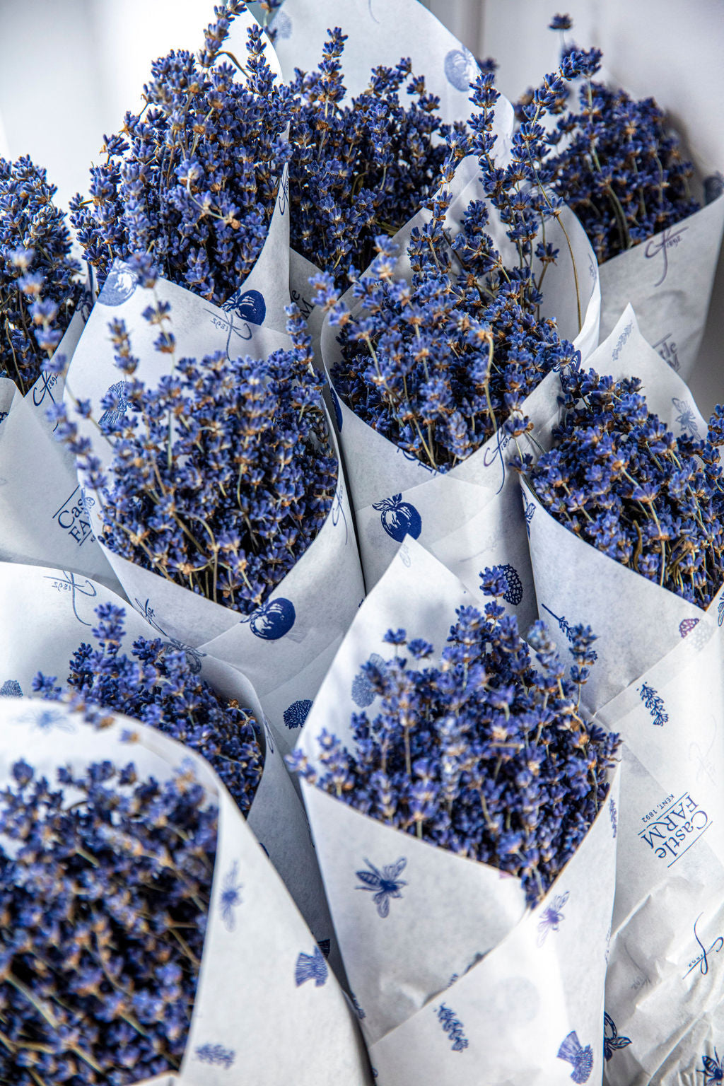 Dried Lavender at Castle Farm
