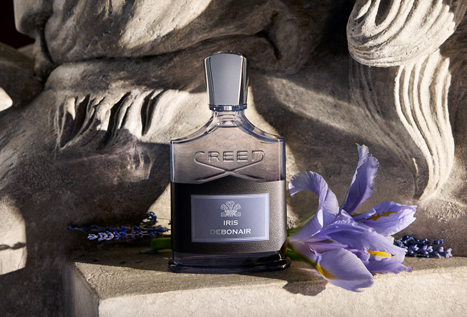 Iris Debonair with Castle Farm Lavender