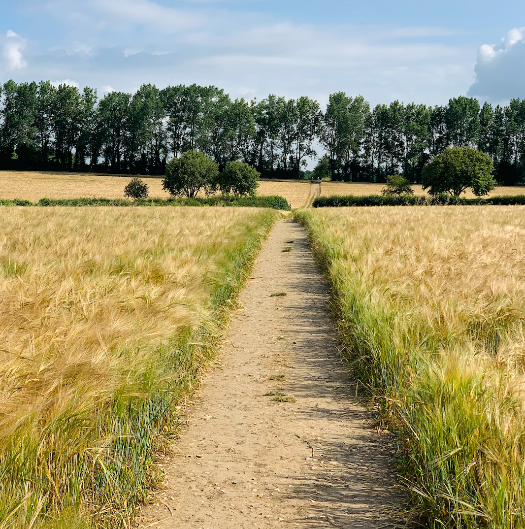 Footpaths - take care