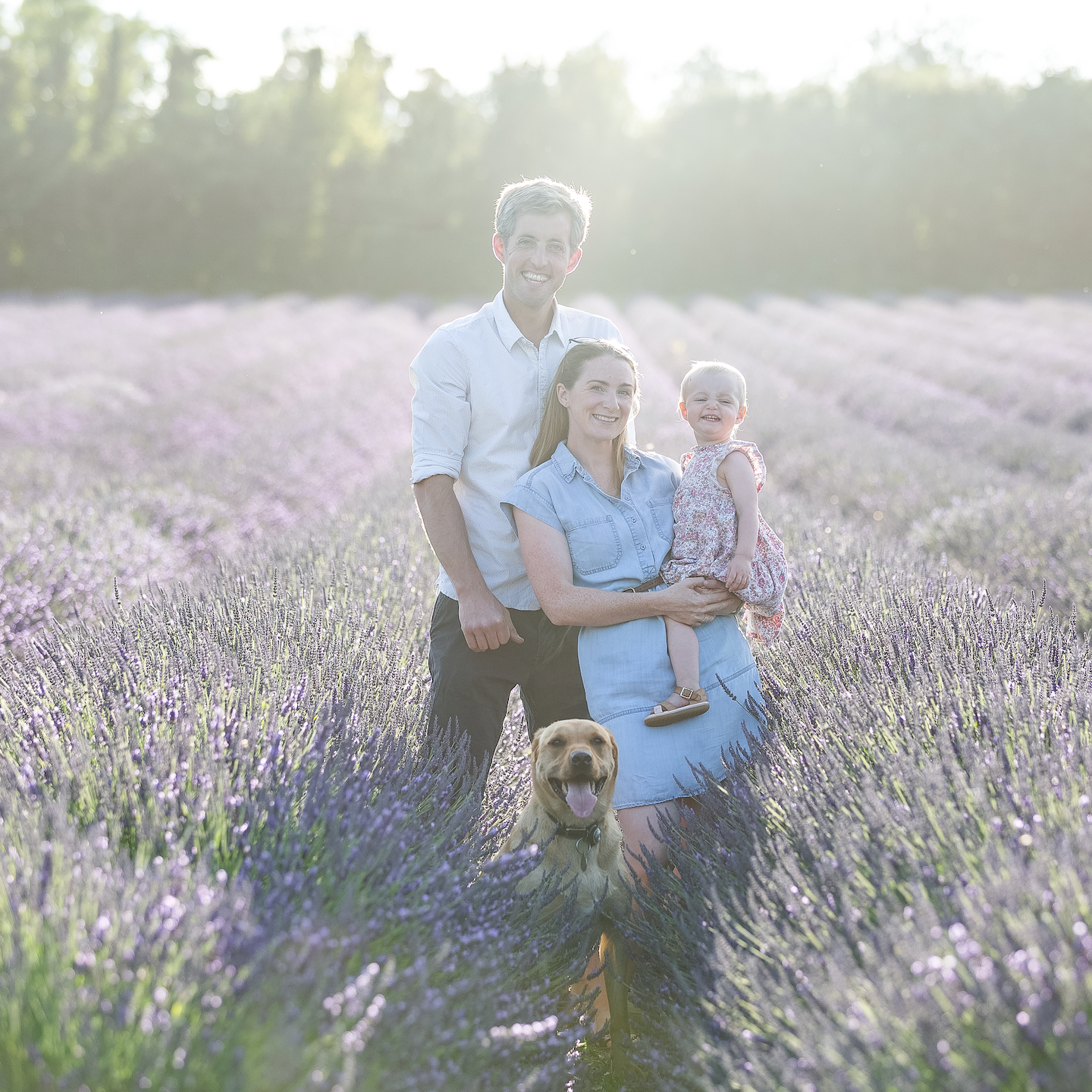 Professional Photoshoots in Lavender Season