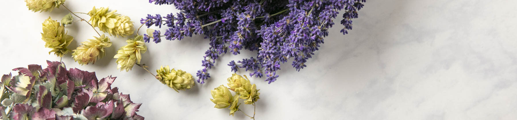 Dried Flowers, Dried Lavender & Hops