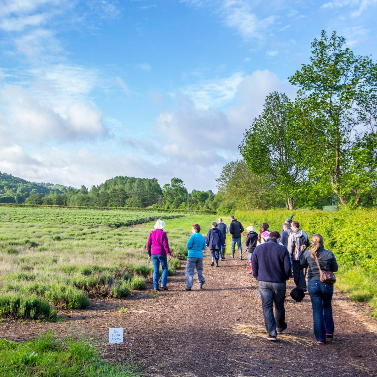 CASTLE FARM DISCOVERY WALK
