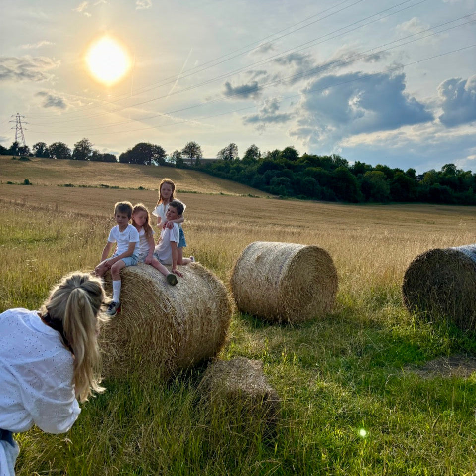 Lower Austin Lodge Farm - Lavender &amp; Wildflower Photography