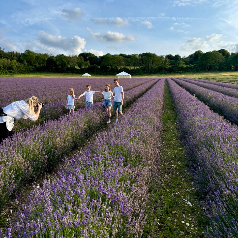 Lower Austin Lodge Farm - Lavender &amp; Wildflower Photography