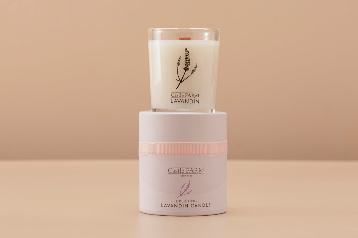 LAVANDIN SCENTED CANDLES - 24 HOURS