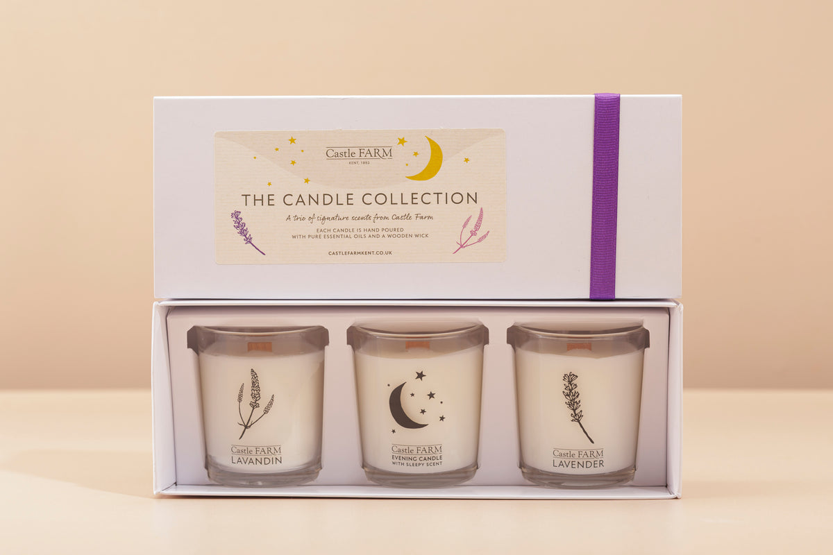 The Candle Collection - A Trio of Signature Scents