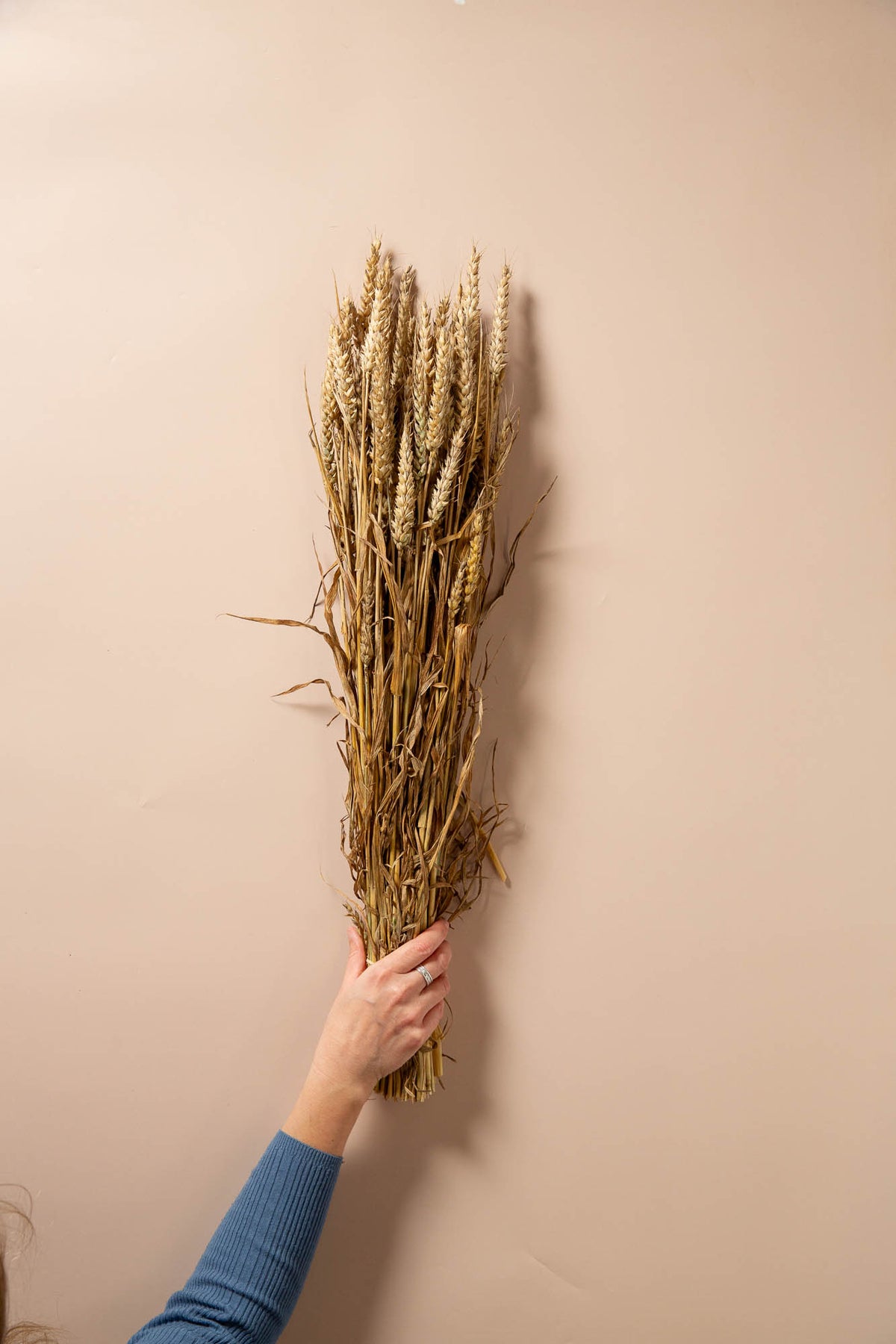 GOLDEN WHEAT BUNCHES