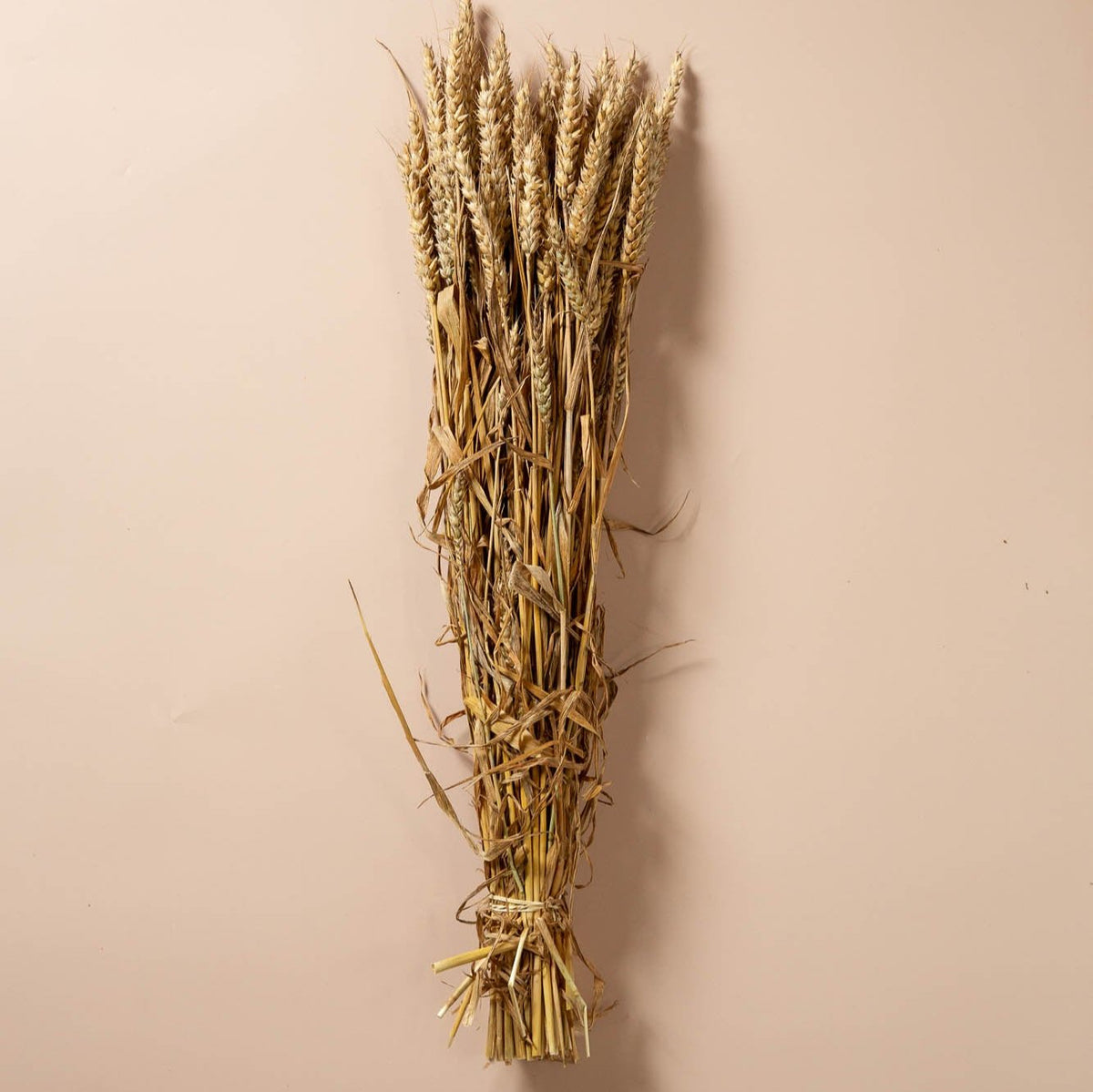 GOLDEN WHEAT BUNCHES
