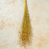 DRIED GOLDEN LINSEED (FLAX) BUNCH