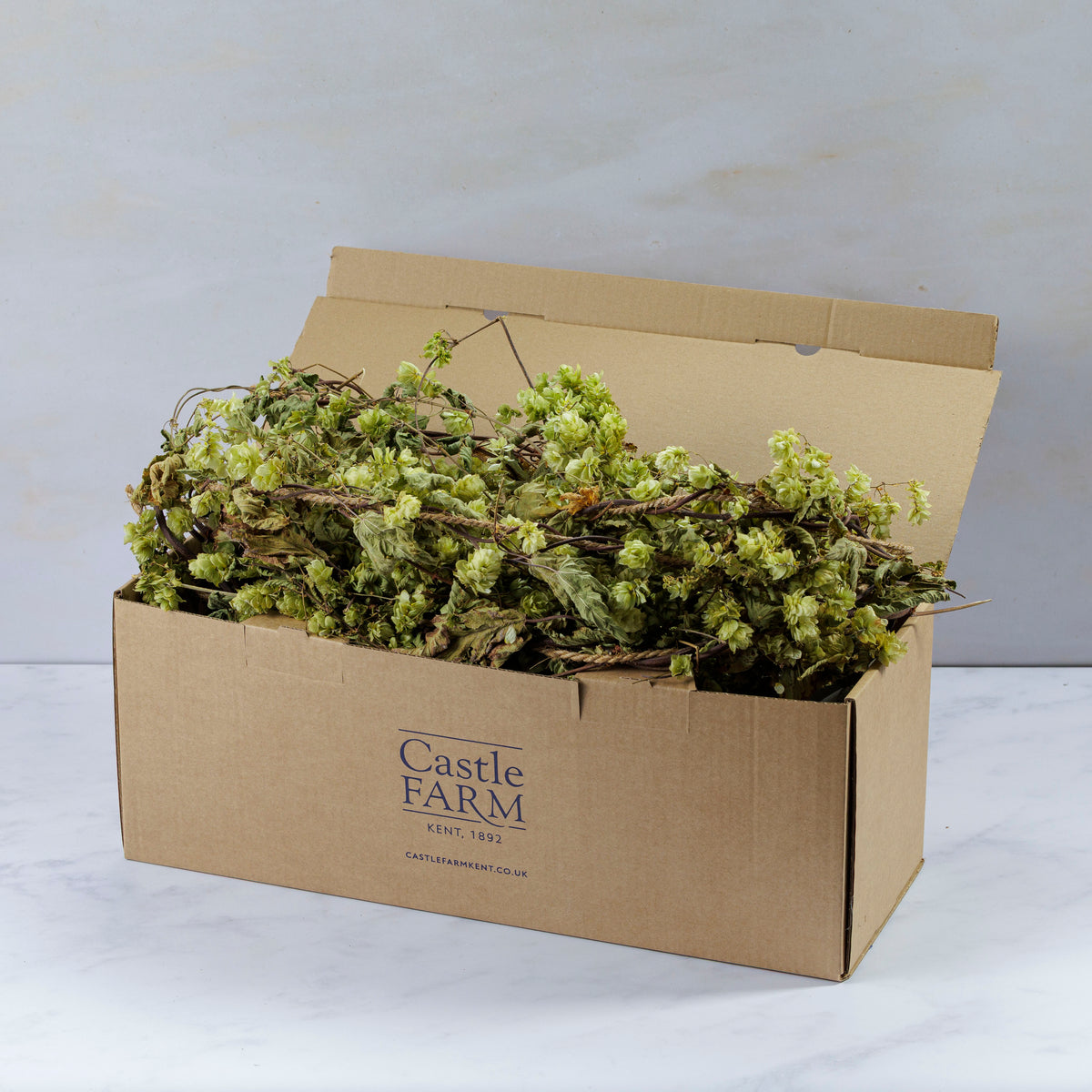 DRIED HOP BINE PIECES