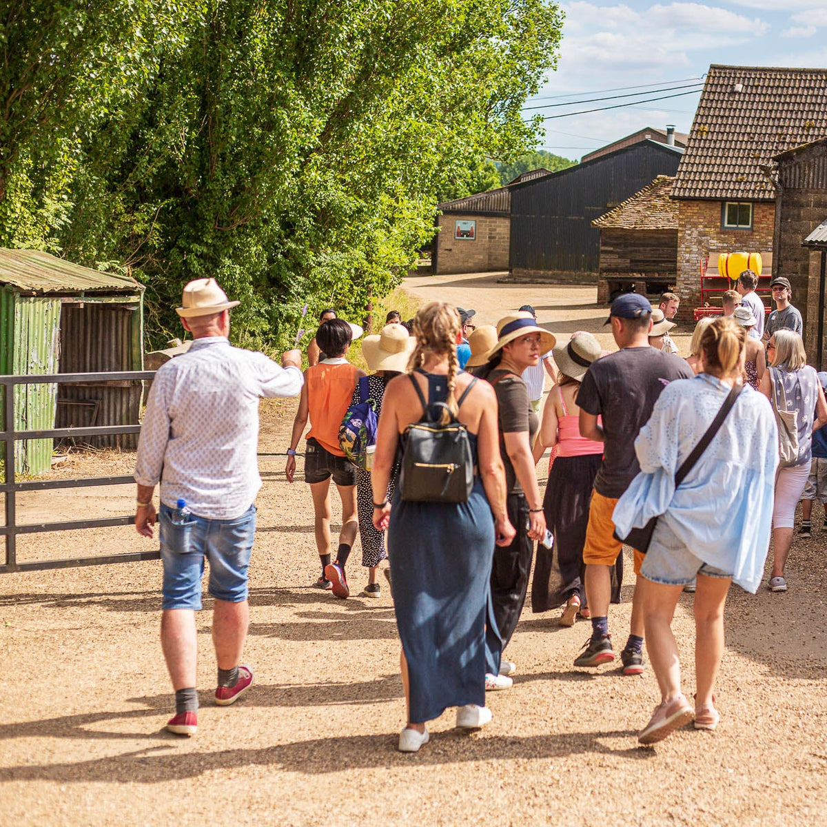 GUIDED LAVENDER FIELD &amp; DISTILLERY TOUR