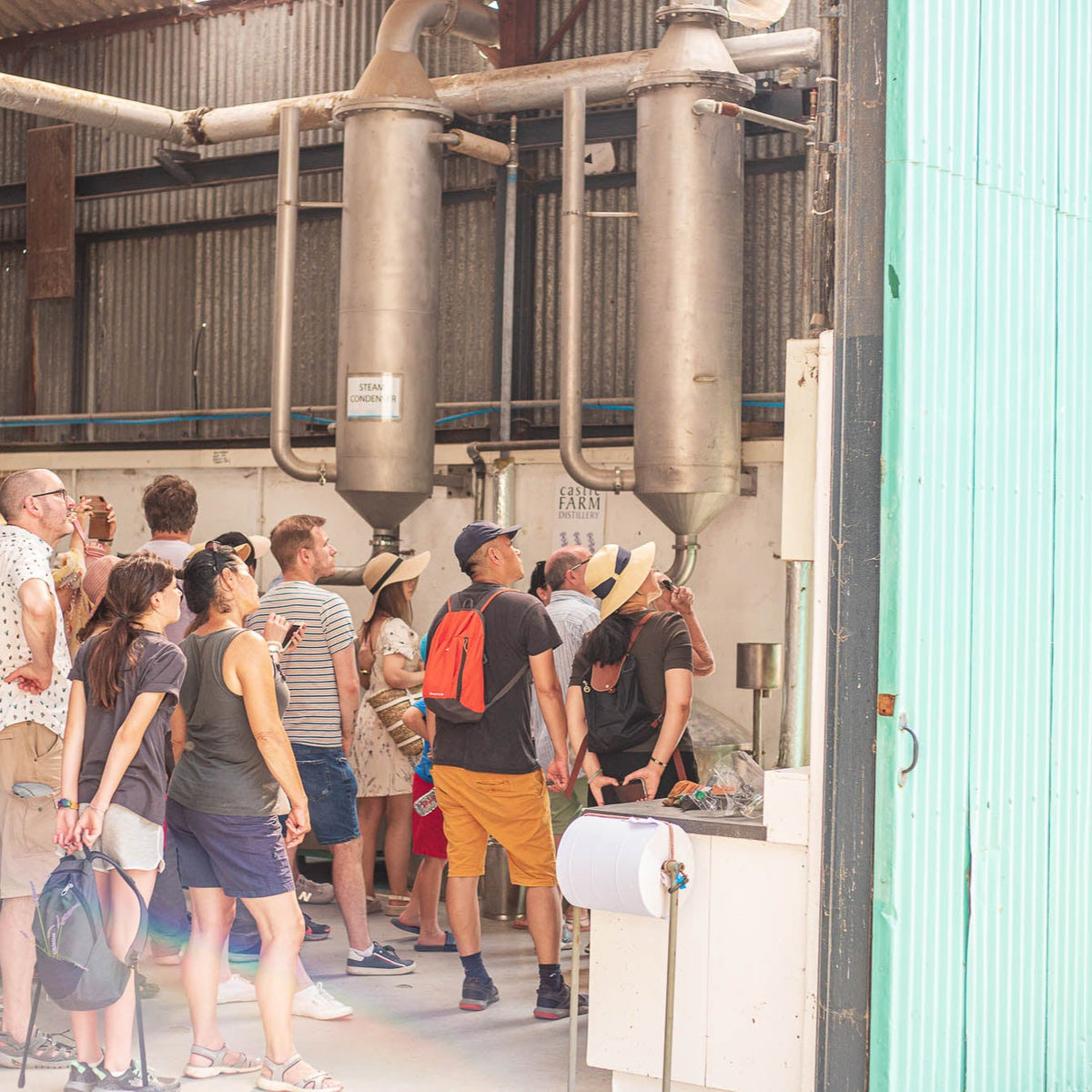 GUIDED LAVENDER FIELD &amp; DISTILLERY TOUR