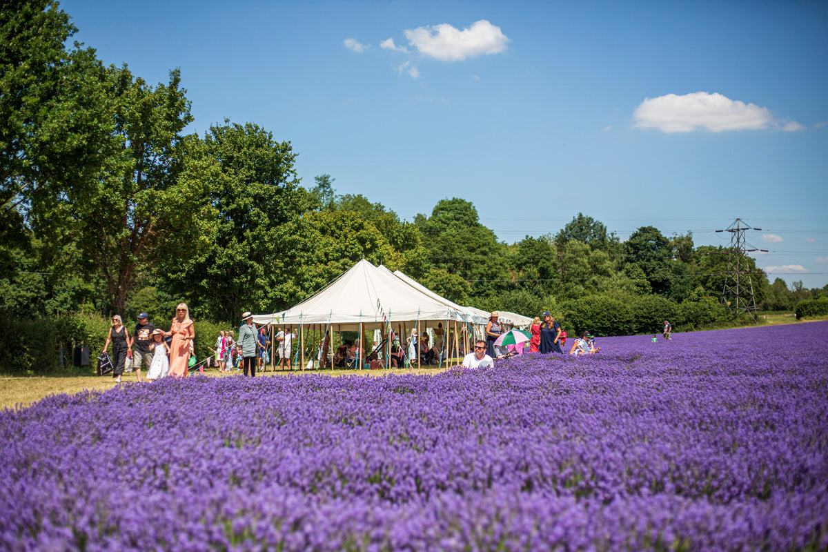 LAVENDER PICNIC GIFT VOUCHER FOR 4 ADULTS WITH LAVENDER GIN