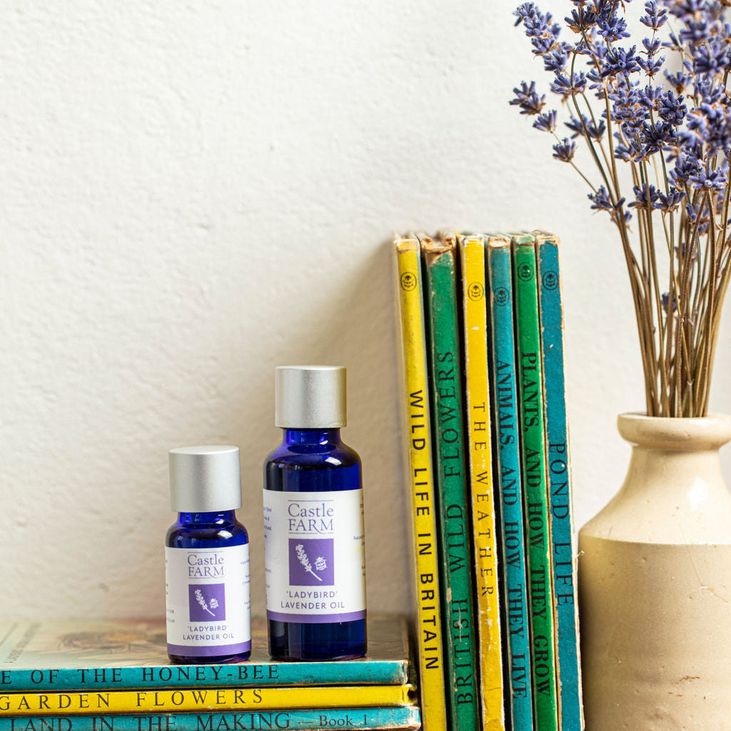 LADYBIRD LAVENDER OIL