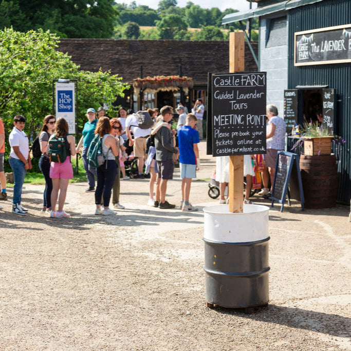 GUIDED LAVENDER FIELD &amp; DISTILLERY TOUR