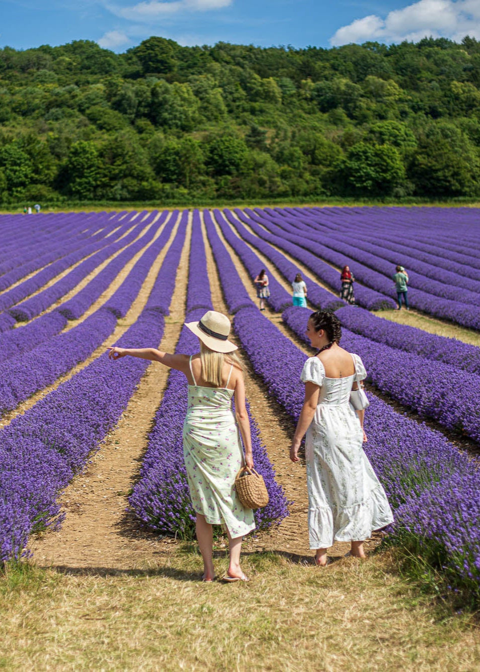 LAVENDER PICNIC GIFT EXPERIENCE