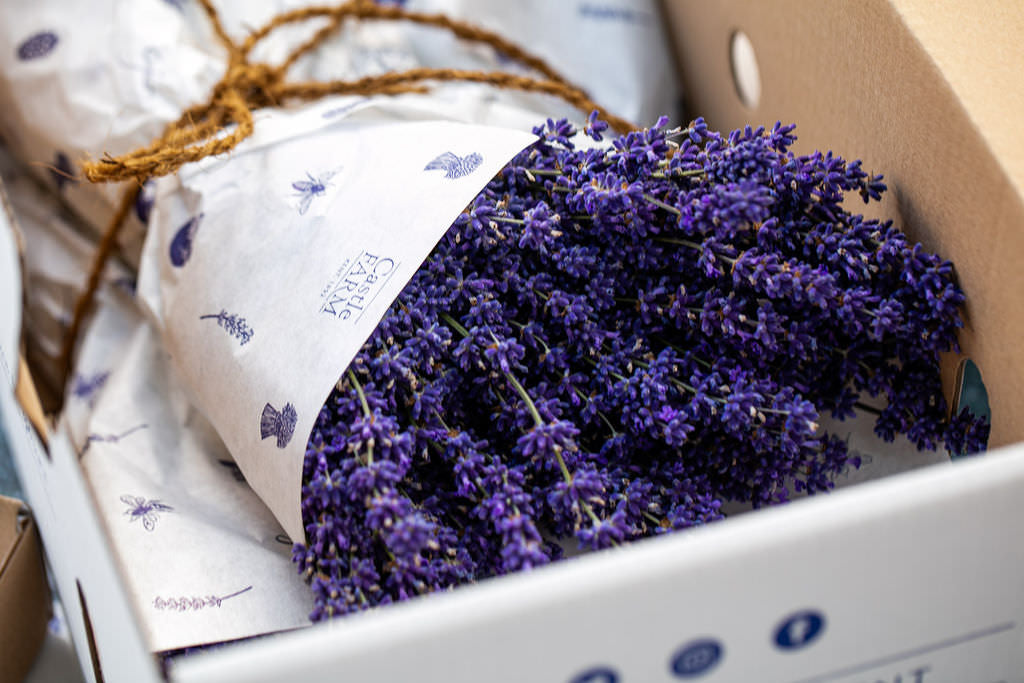 FRESH LAVENDER BUNCHES FOR PRE ORDER