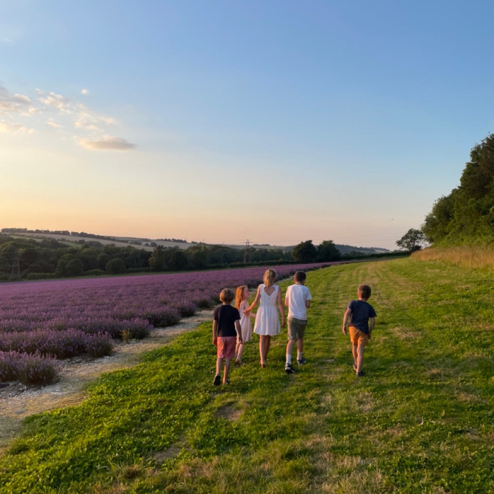 LAVENDER PICNIC TICKET