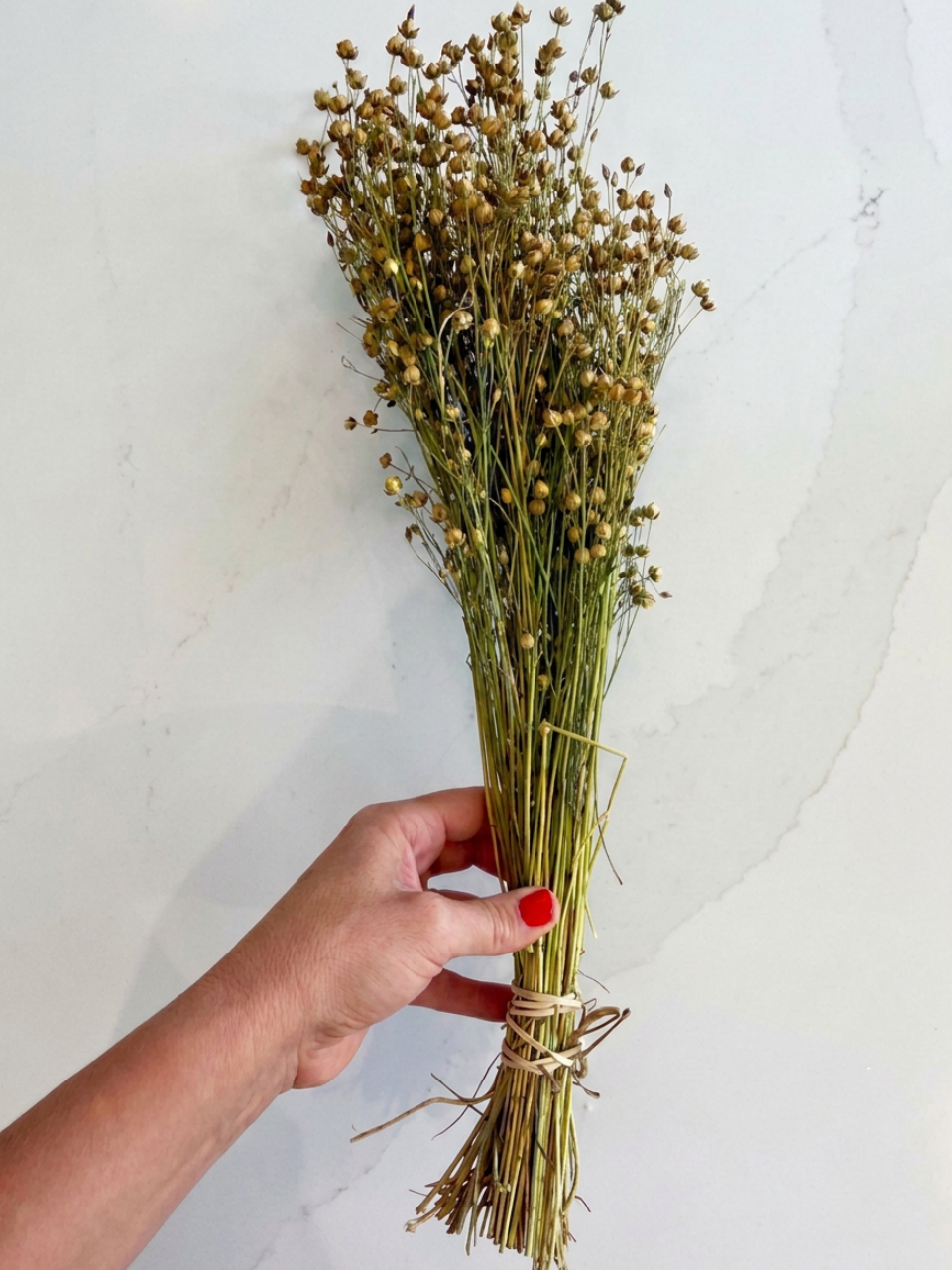 DRIED GOLDEN LINSEED (FLAX) BUNCH