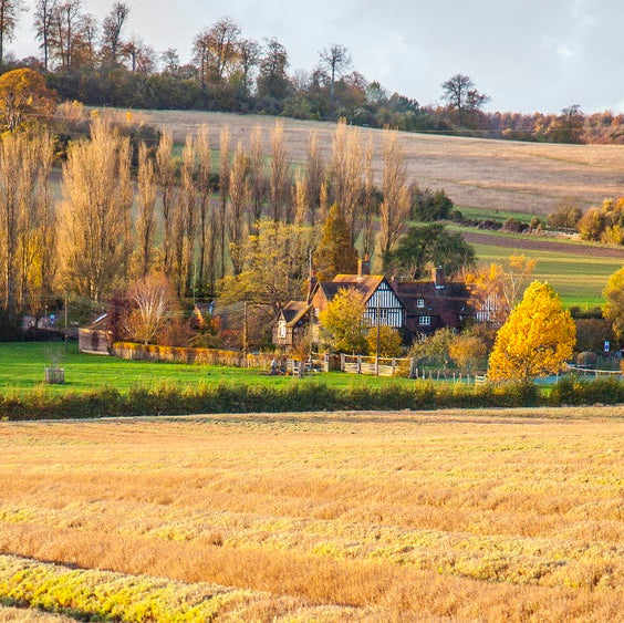 CASTLE FARM DISCOVERY WALK