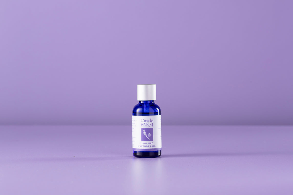 LADYBIRD LAVENDER OIL