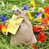 NATIVE WILDFLOWER BEE BOMBS