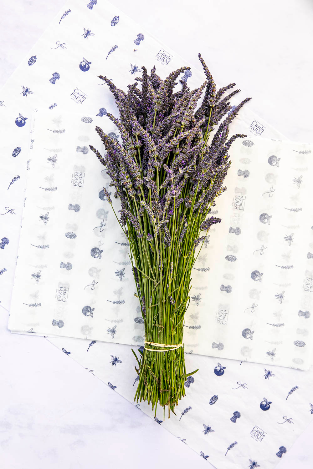 FRESH LAVANDIN BUNCHES