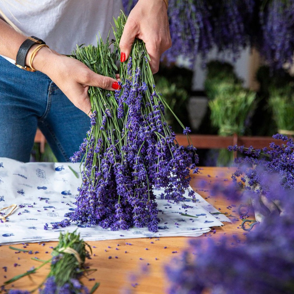 FRESH LAVENDER BUNCHES FOR PRE ORDER