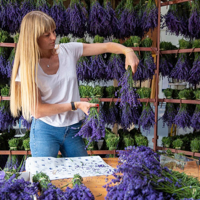 FRESH LAVENDER BUNCHES