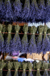 DRIED LAVENDER BUNCH