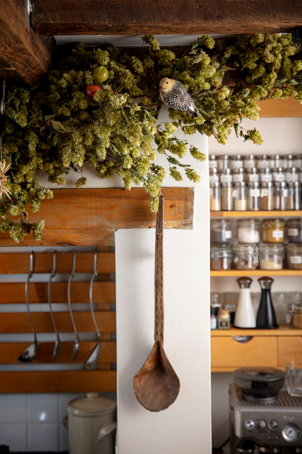 DRIED HOP BINE