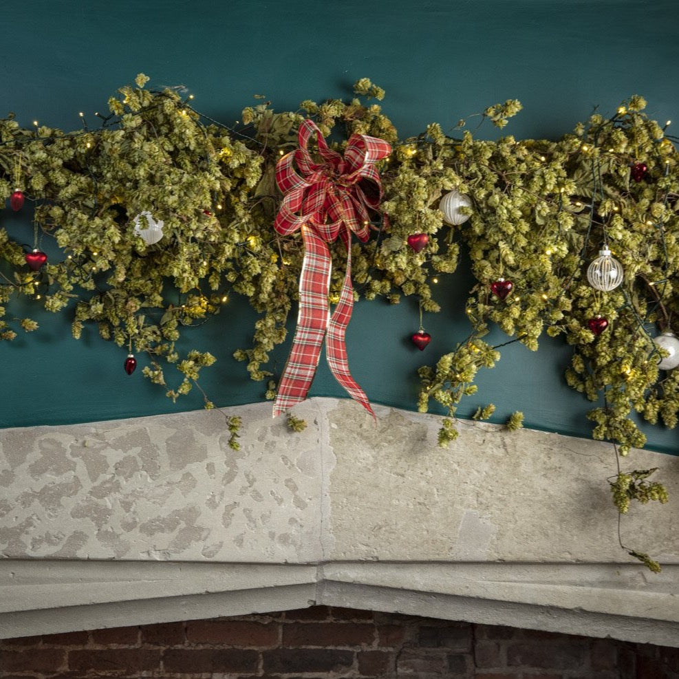 DRIED HOP BINE