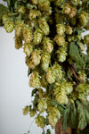 CASTLE FARM DRIED HOP BINE