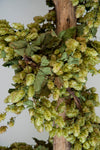 CASTLE FARM DRIED HOP BINE