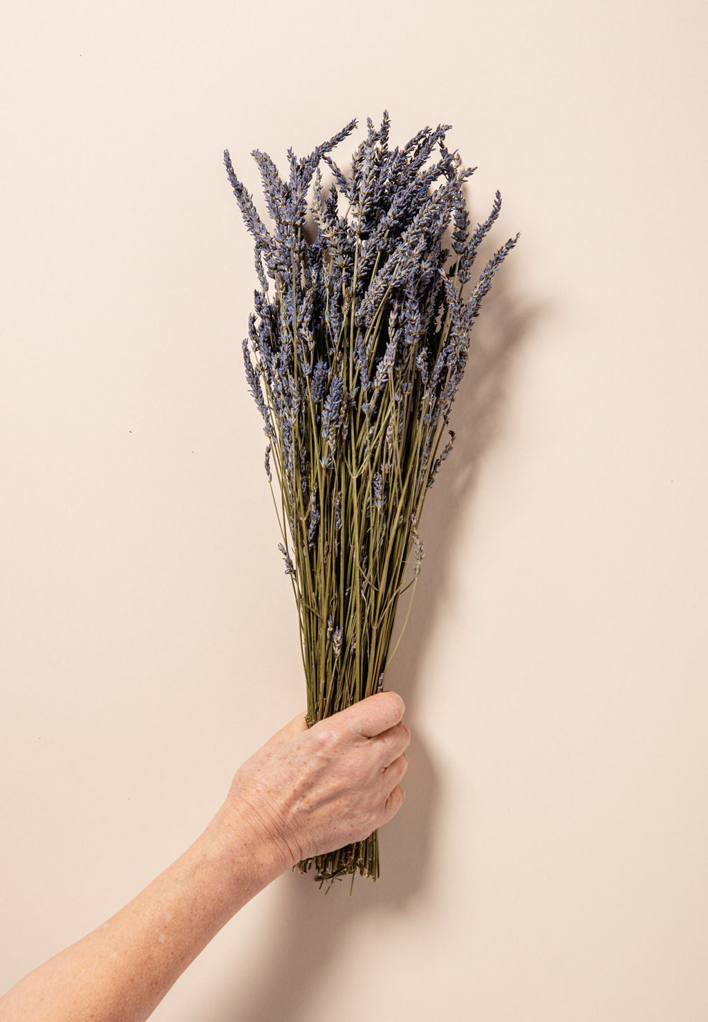DRIED LAVANDIN BUNCH