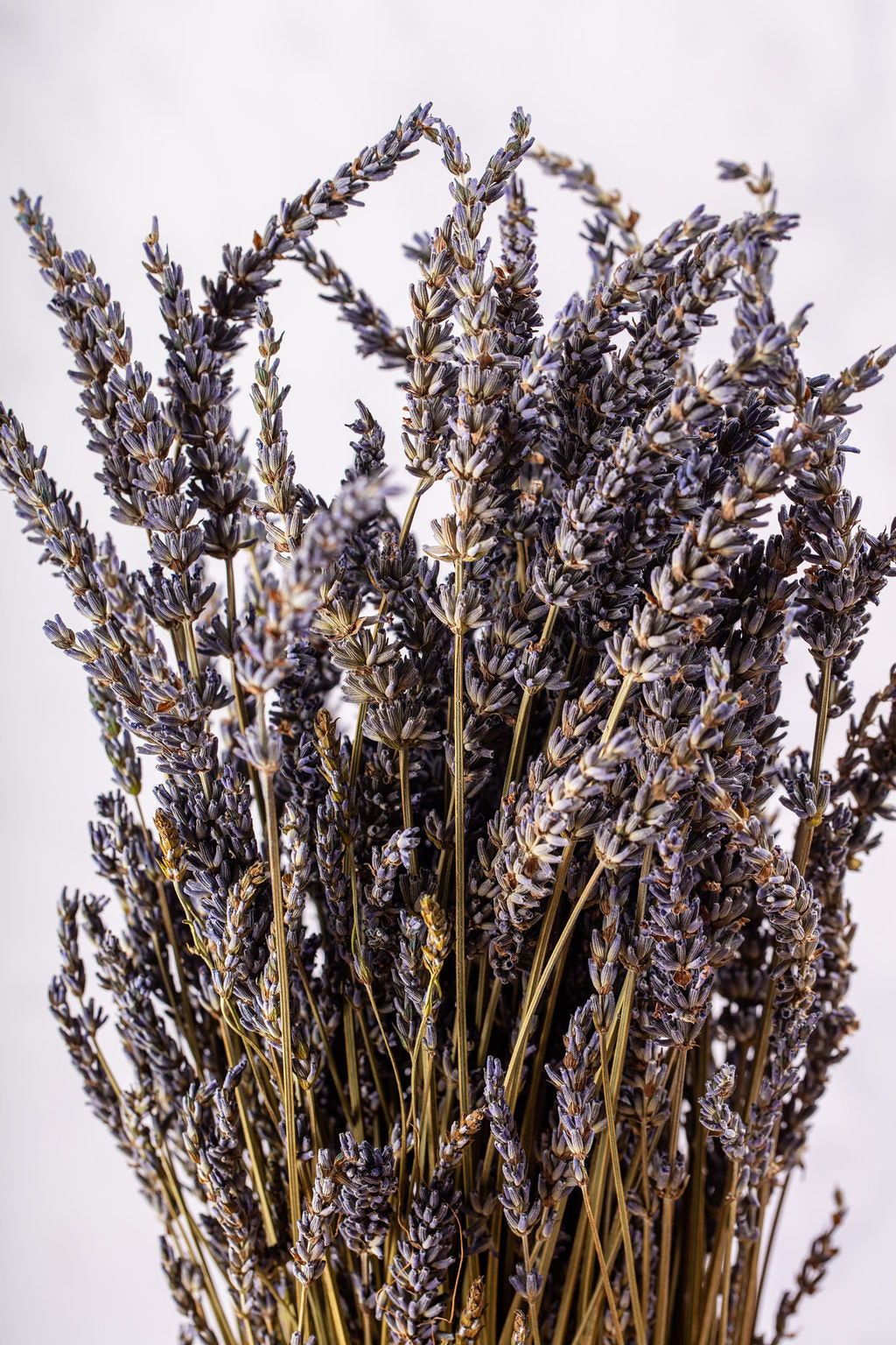 DRIED LAVANDIN BUNCH