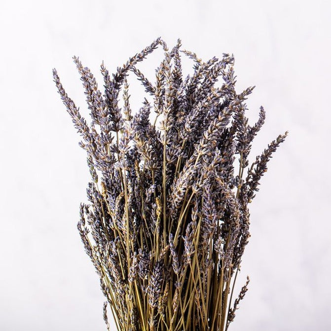 DRIED LAVANDIN BUNCH
