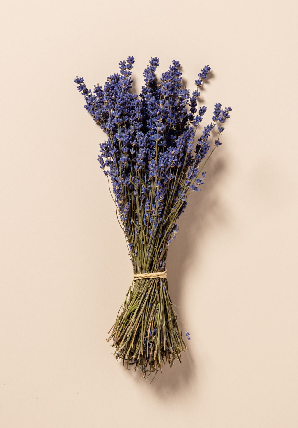 Dried lavender bundle