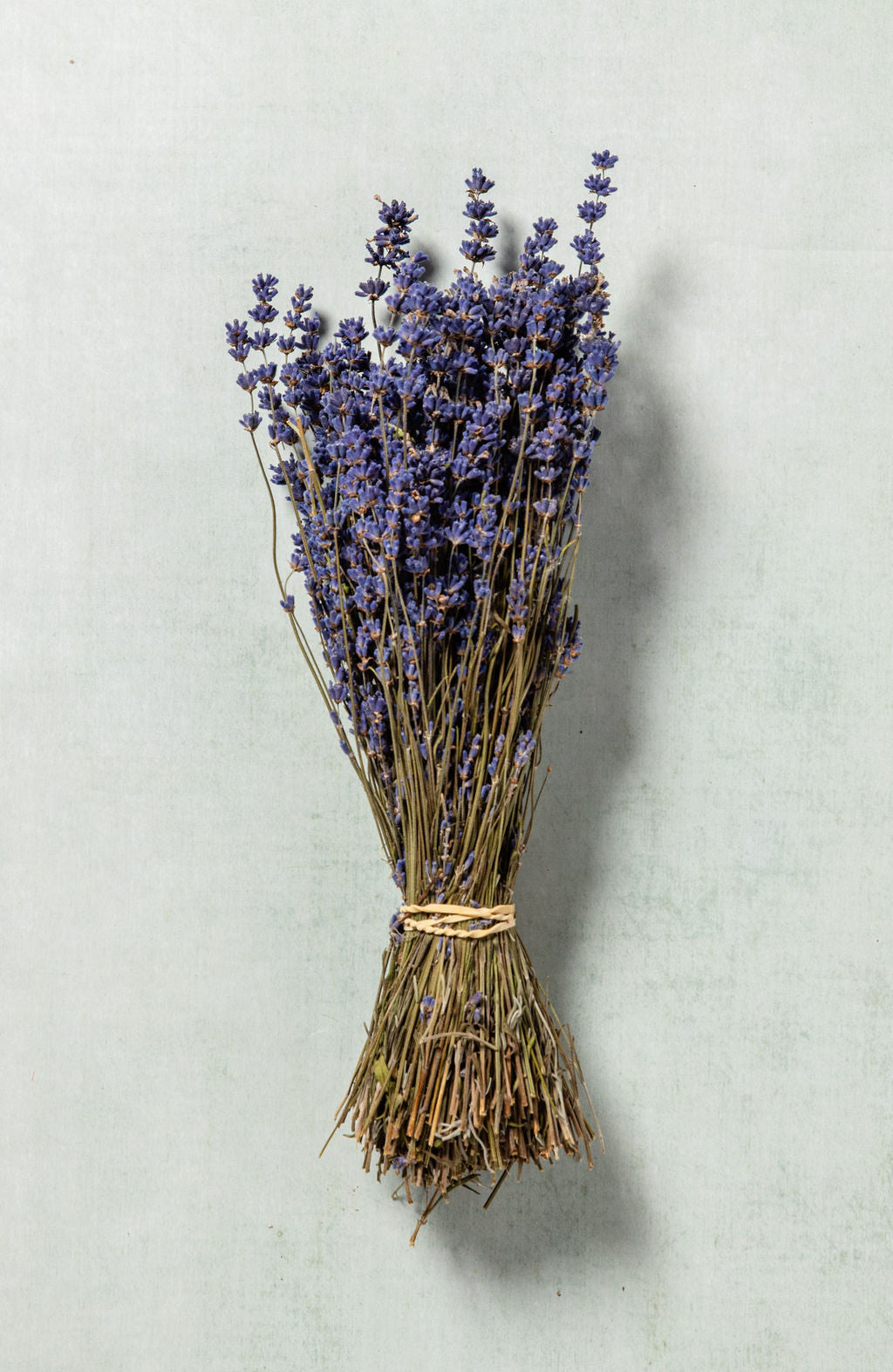 DRIED LAVENDER BUNCH Castle Farm Shop
