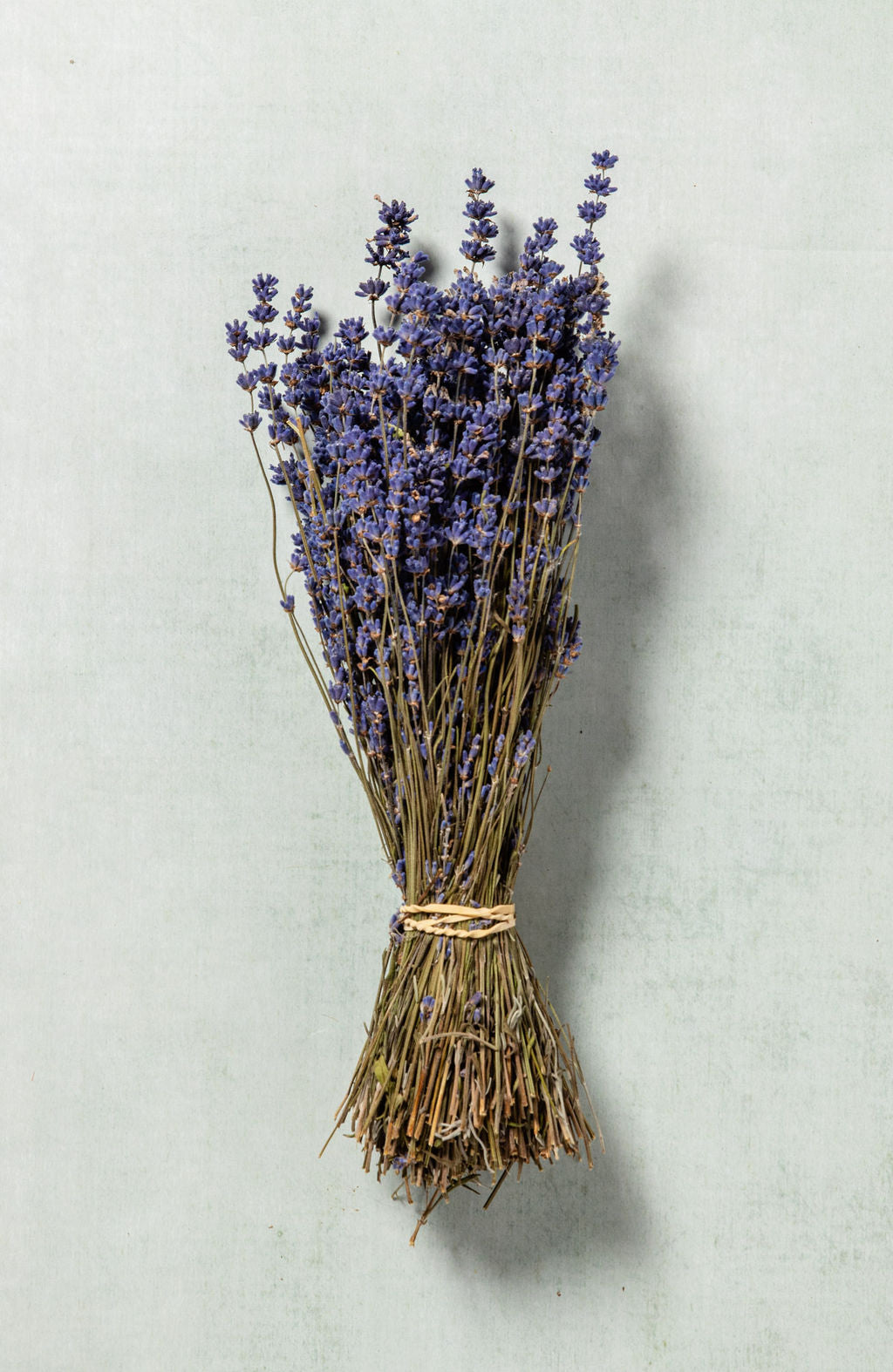 DRIED LAVENDER BUNCH - Castle Farm Shop