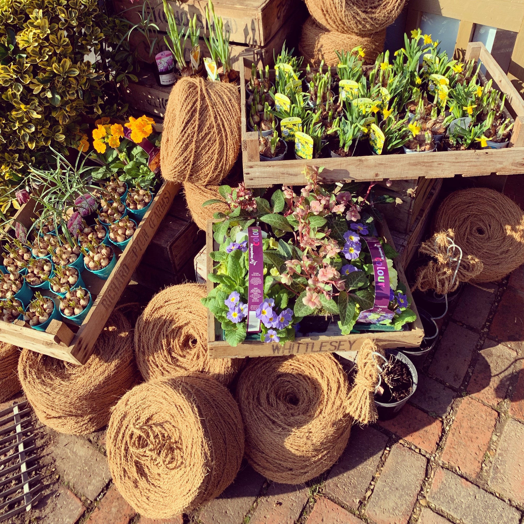 Hop String GARDEN HOP TWINE (STRING) - Castle Farm Shop