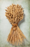 WHEAT SHEAF - NATURAL GOLDEN