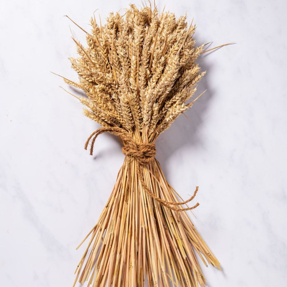 WHEAT SHEAF - NATURAL GOLDEN