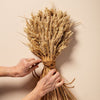 WHEAT SHEAF - NATURAL GOLDEN