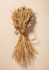 WHEAT SHEAF - NATURAL GOLDEN